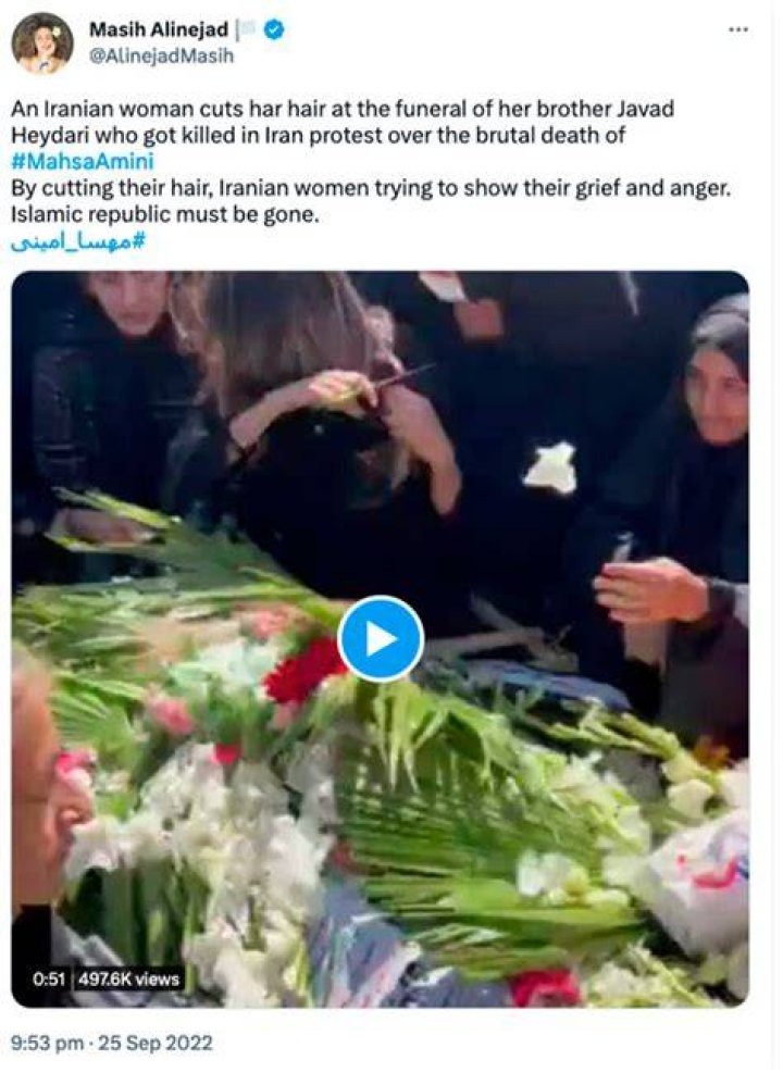 Who Was Mona Heidari? How Did She Die? Check Video Husband Killed