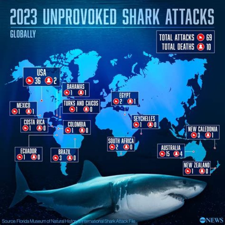 Why Are Sharks Attacking More People Than Ever in Hawaii? Honolulu