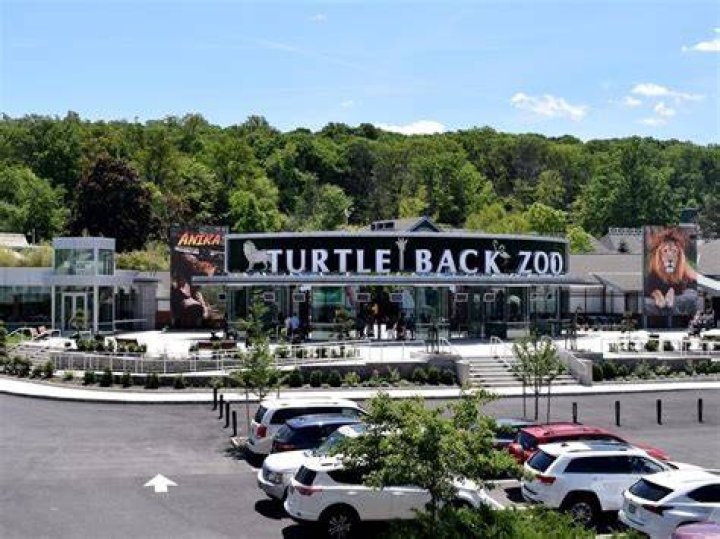 Why Turtle Back Zoo Is A MustDo For Families In NJ