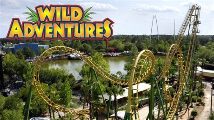Wild Adventures Review Valdosta, Theme Park YouTube