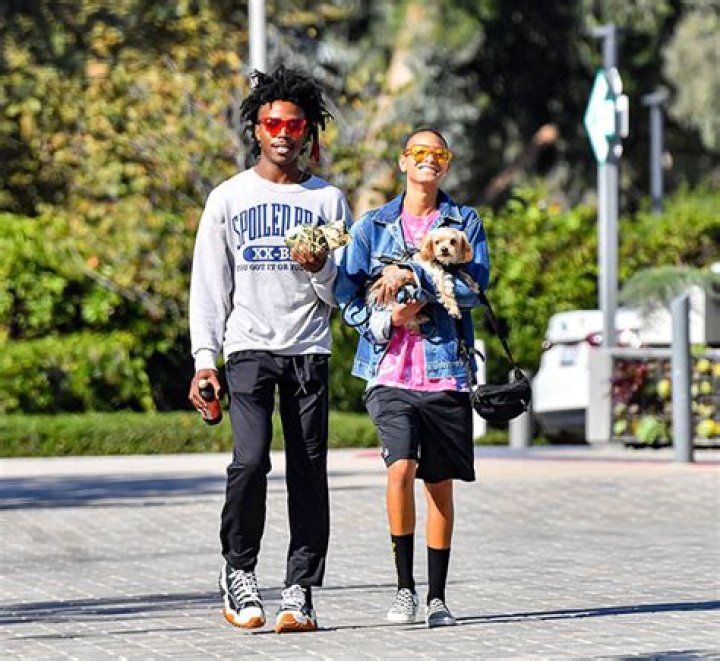 Willow Smith and her boyfriend Tyler Cole out in Los Angeles GotCeleb