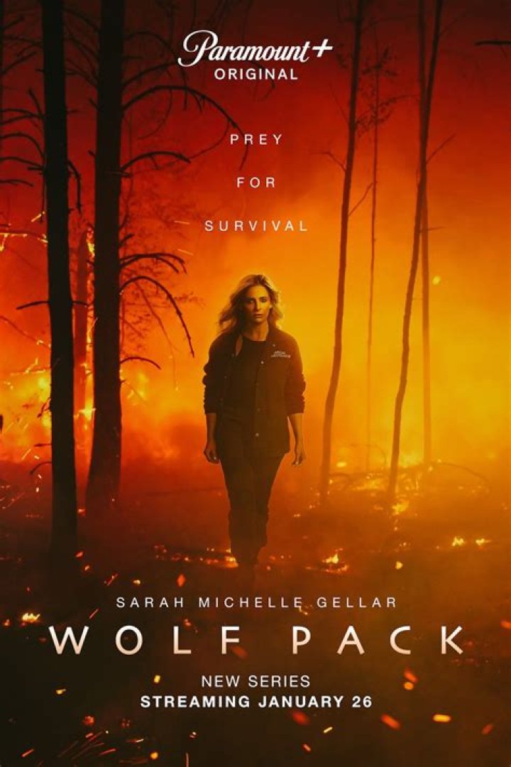 Wolf Pack actress Chloe Rose Robertson Wolf Pack actress Chloe Rose Robertson