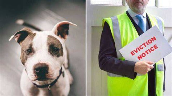 Woman Behind Racist Pitbull Audio Given Eviction Notice, &ldquo;We Do Not