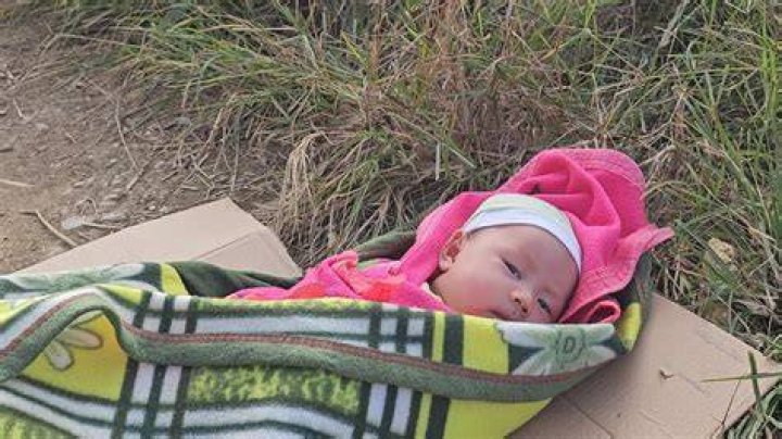 Woman Finds an Abandoned Baby in a Truck and Saves Two Lives