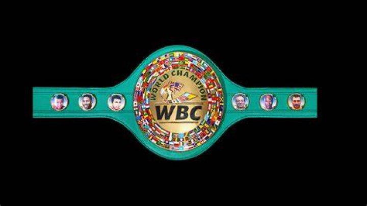 World Boxing Council promise stern action against rabbit punching