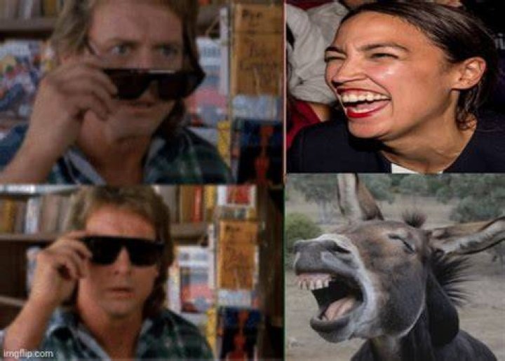 World’s Greatest Gallery of Laughing Donkeys