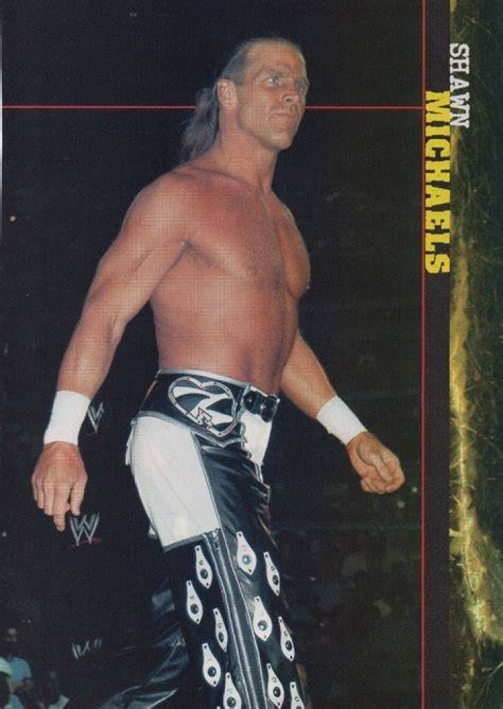 WWE Shawn Michaels Page 5