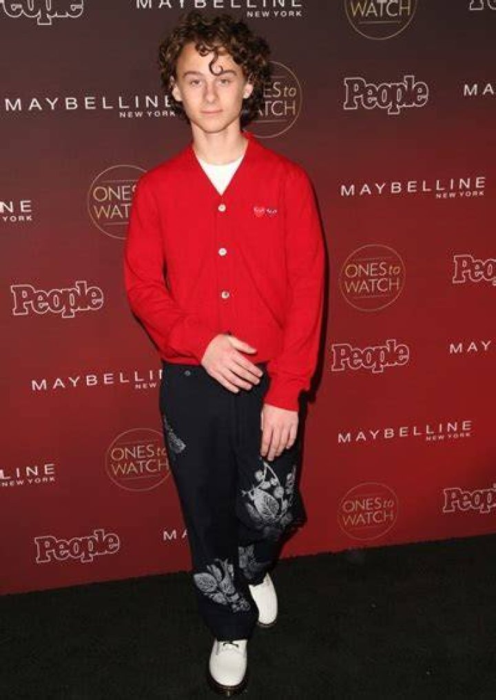 Wyatt Oleff Biography, Height & Life Story Super Stars Bio