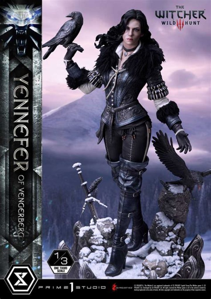 yennefer witcher The witcher, Yennefer witcher, Hollywood actor