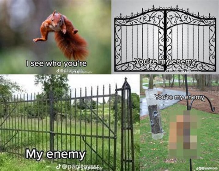 You Are My Enemy TikTok Slideshow I See Who You Are, You Are My Enemy