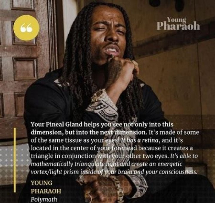 Young Pharaoh Net Worth Digital Global Times