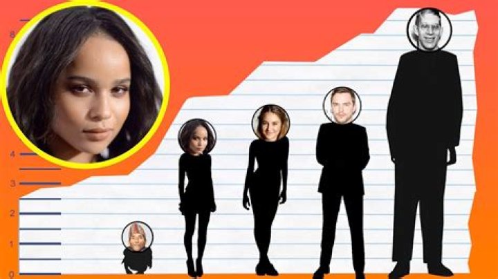 Zoe Kravitz Height Weight Body Stats Age Family Facts